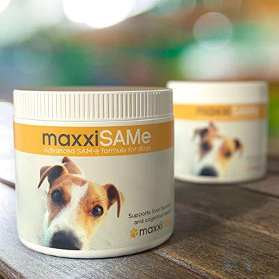 Maxxipaws maxxiSAMe Advanced SAM-e Liver and Cognitive Supplement for Dogs Given with Food - Powder 150g - Petzenya