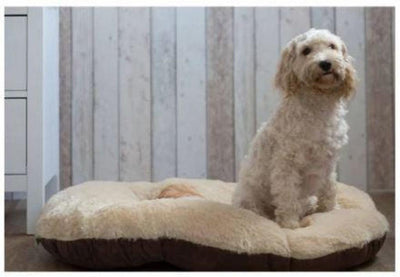 Oval Cushion Dog Bed | Gor Pets Nordic Cushion Bed | Pet Bed - Grey/ Brown 21"- 40" - Petzenya
