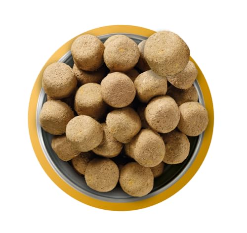 Natures Menu Freeze Dried Complete & Balanced Dog Food Nuggets - Chicken - 625gr 