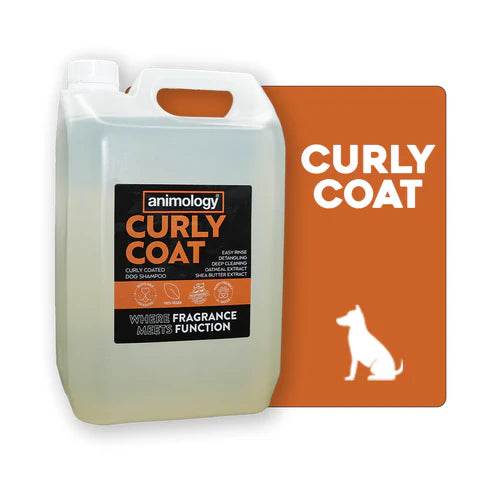 Curly Coat Dog Shampoo 5L 