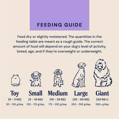 Pooch & Mutt - Calm & Relaxed Complete Dry Dog Food Grain Free (Regular Sized Kibble), for Calming Hyperactive or Anxious Dogs, Turkey and Sweet Potato, 10kg (packaging may vary) 