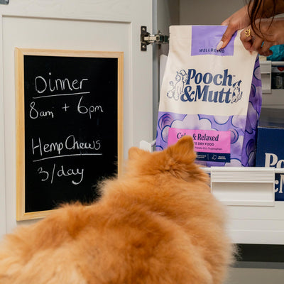 Pooch & Mutt - Calm & Relaxed Complete Dry Dog Food Grain Free (Regular Sized Kibble), for Calming Hyperactive or Anxious Dogs, Turkey and Sweet Potato, 10kg (packaging may vary) 