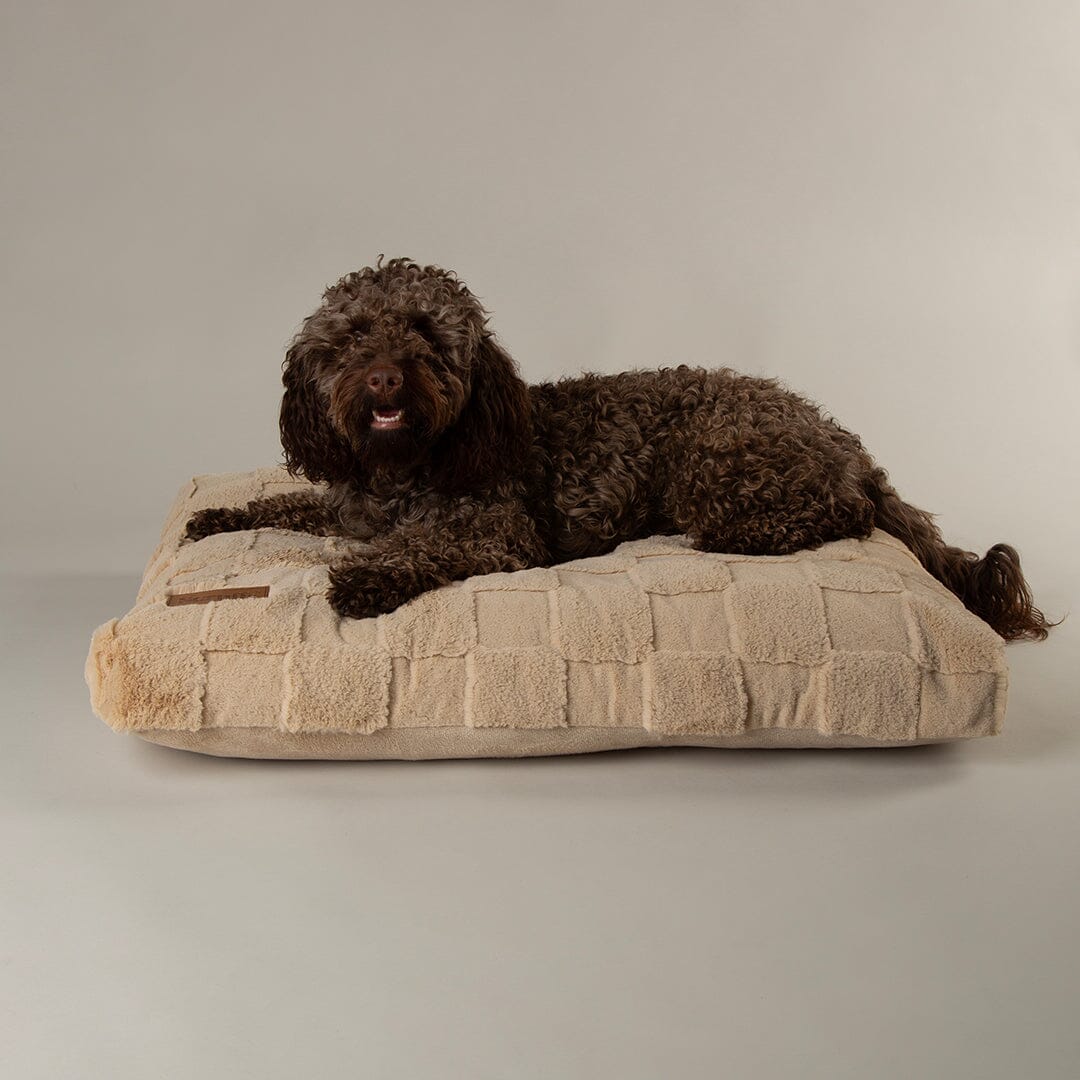 Dog Bed-Oxford Orthopaedic Dog Mattress 
