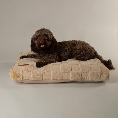 Dog Bed-Oxford Orthopaedic Dog Mattress 