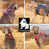 No Pull Reflective Nylon Dog Harness