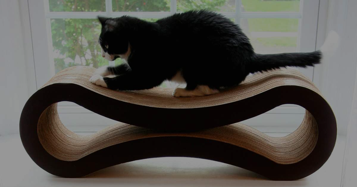 Cat Furniture and Scratchers