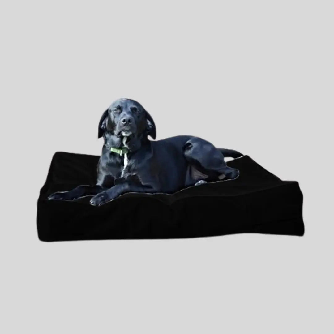 Waterproof Dog Mattress/ Cushion- Extra Thick - Various Sizes - Colours 