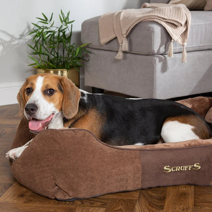 Chester Dog Bed | Box Bed for Dogs
