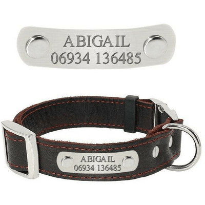 Real Leather Dog Collar Personalised Dogs Collar| Engrave Your Dogs Name - Petzenya
