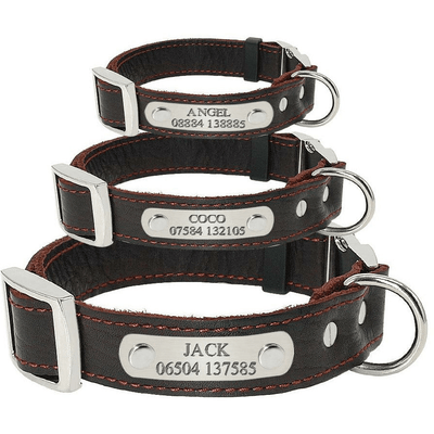 Real Leather Dog Collar Personalised Dogs Collar| Engrave Your Dogs Name - Petzenya