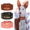 Personalized Dog Collar PU Leather | Greyhound Neck Collar with Name - Petzenya