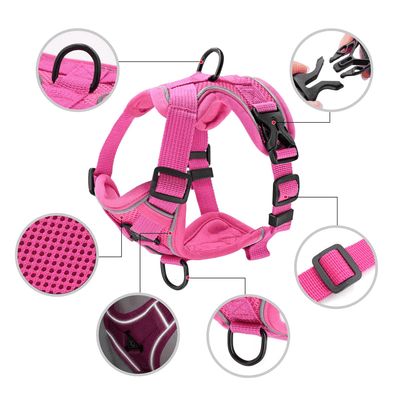 Mesh Nylon Cat Harness | Reflective Puppy/ Kitten Breathable Pet Harness With Lead - Petzenya