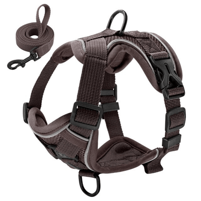 Mesh Nylon Cat Harness | Reflective Puppy/ Kitten Breathable Pet Harness With Lead - Petzenya