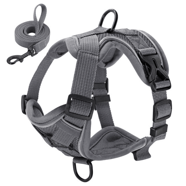 Mesh Nylon Cat Harness | Reflective Puppy/ Kitten Breathable Pet Harness With Lead - Petzenya