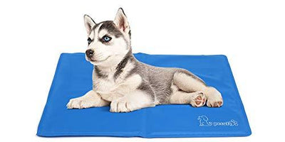Pecute Dog Cooling Mat Medium 65x50cm, Durable Pet Cool Mat Non-Toxic Gel Self Cooling Pad, Great for Dogs Cats in Hot Summer - Petzenya