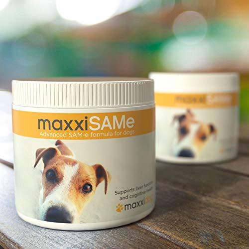 Maxxisame on sale