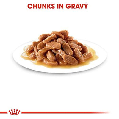 Royal Canin Kitten in Gravy Wet Food 85g (Pack of 12) - Petzenya