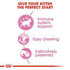 Royal Canin Kitten in Gravy Wet Food 85g (Pack of 12) - Petzenya