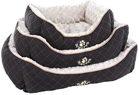scruffs "Wilton" - Petzenya