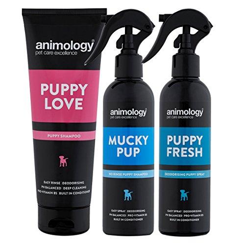 Animology Puppy Pack - Petzenya