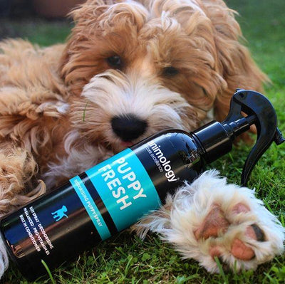 Puppy Fresh Dog Deodorant Spray 250ml - Petzenya