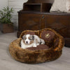 Teddy Bear Cushion Paw Bed for Dog & Cats - Petzenya