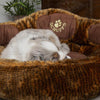 Teddy Bear Cushion Paw Bed for Dog & Cats - Petzenya