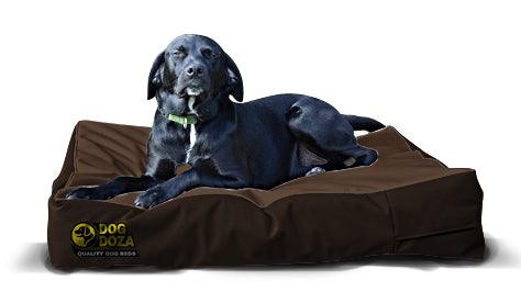 Dog doza bed covers hotsell