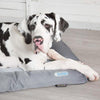 The Scruffs Cooling Dog Bed - Petzenya