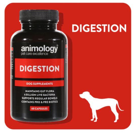 Digestion Dog Supplement - Animology Supplements and Vitamins - Dog Digestion - Petzenya