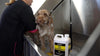 Fox Poo Dog Shampoo & Odour remover 2.5L - Petzenya