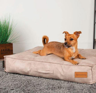 Kensington Dog Mattress - Comfy, Luxurious Dog Mattress - Ideal for Small-Large Dogs - Petzenya