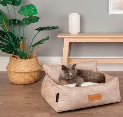 Kensington Box Bed - Dog Bed - Luxury, comfy and stylish Box Bed for Dogs - Petzenya