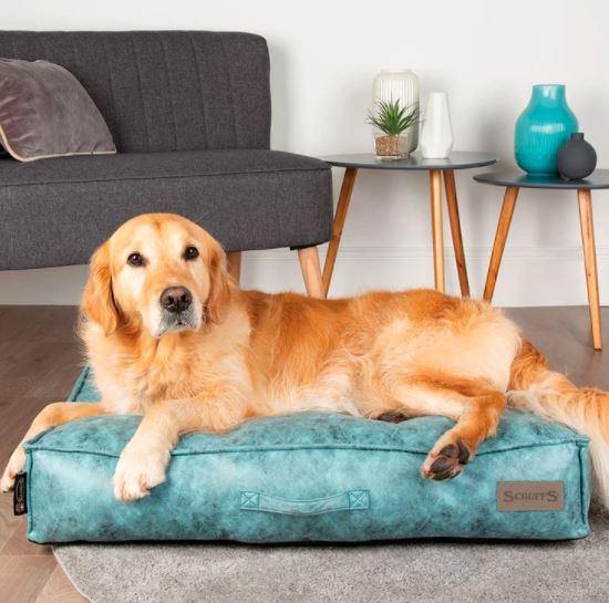 Knightsbridge Dog Mattress - Petzenya