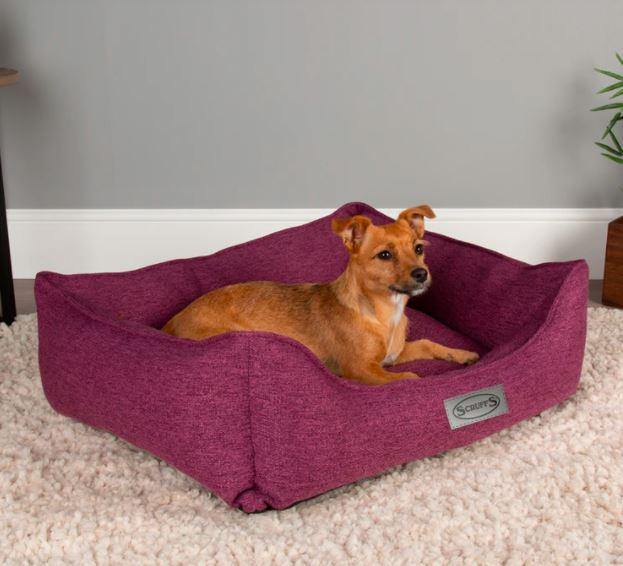Manhattan Box Bed - Dog Beds - Cat Beds