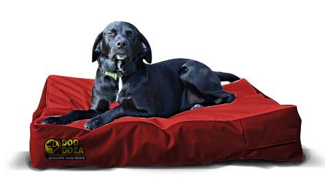 Dog doza store bed covers