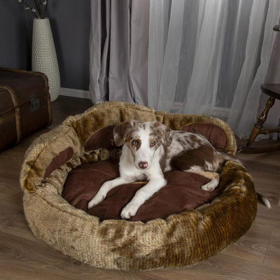 Teddy Bear Cushion Paw Bed for Dog & Cats - Petzenya