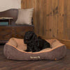 Scruffs Thermal Dog Bed - Petzenya