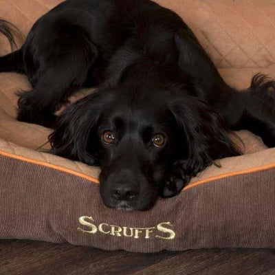 Scruffs Thermal Dog Bed - Petzenya