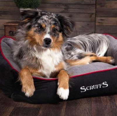 Scruffs Thermal Dog Bed - Petzenya