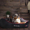 Scruffs Thermal Dog Bed - Petzenya