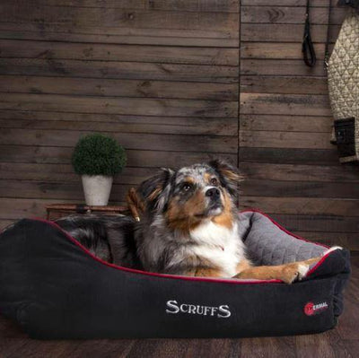 Scruffs Thermal Dog Bed - Petzenya