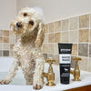Dog Whitening, Dog Shampoo - Animology White Wash 250ml - Petzenya