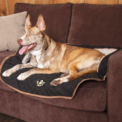 Wilton Dog Sofa Bed - Petzenya