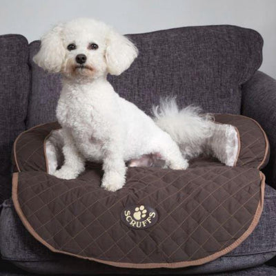 Wilton Dog Sofa Bed - Petzenya