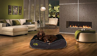 Dog Doza - Active Style Waterproof Box Border Beds High Loft Fibre Filled - Petzenya