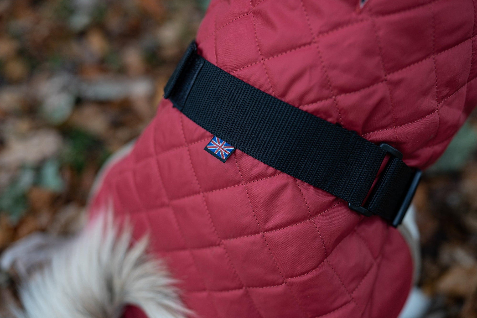 Quilted Dog Coat - Padded Outdoor Dog Jacket - Small to Large Dogs - Petzenya