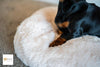 Oval Cushion Dog Bed | Gor Pets Nordic Cushion Bed-Grey/ Brown 21"- 40" - Petzenya