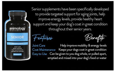 Senior Dog Supplement - Animology Senior Tablets for Dogs - Petzenya