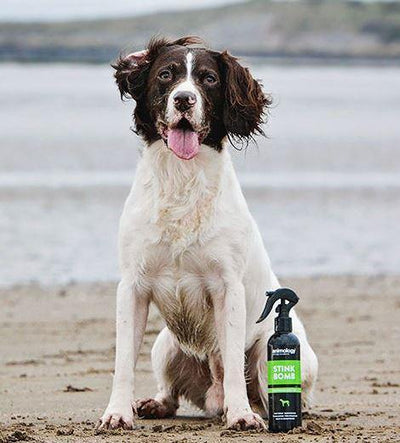 Stink Bomb Dog Deodorant Spray 250ml - Petzenya